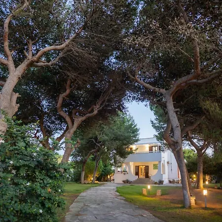 Memia Villa *