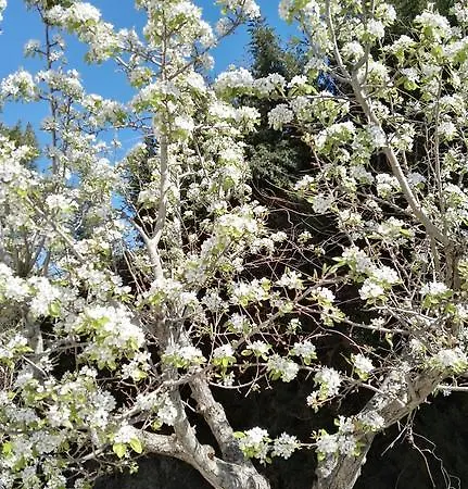 Memia 빌라 Lendinuso